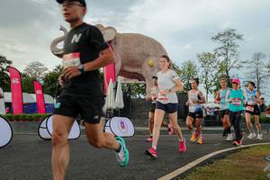 BIB: 
                            <button type="button" onclick="openModal(26528552)" class="btn btn-primary btn-sm float-right btn-popup" data-toggle="modal" data-target=".modal-high-quality">
                        <i class="fas fa-shopping-cart"></i> Add to Cart
                    </button>
                                            <button type="button" onclick="isThisMe(26528552, true)" class="btn btn-success btn-sm float-right btn-popup btn-isme hidden" data-toggle="tooltip" data-placement="bottom" title="นี่คือรูปของคุณใช่ไหม คลิกที่นี่เพื่อเอาเข้าอัลบั้ม">
                        <i class="fas fa-plus"></i> Add to album
                    </button>
                    <button type="button" onclick="isThisMe(26528552, false)" class="btn btn-warning btn-sm float-right btn-popup btn-isnotme hidden">
                        <i class="fas fa-ban"></i> Remove from album
                    </button>